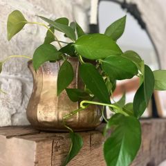 Antiqued Gold Metal Planter Pots Set of 3