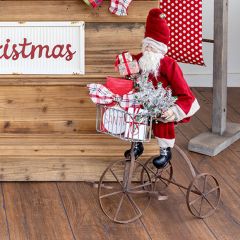 Antiqued Tricycle Garden Planter