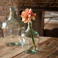 Artificial Candy Candy Amaryllis Stem 16 Inch
