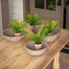 Artificial Potting Shed Fern Set of 4