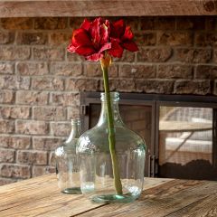 Artificial Red Amaryllis Stem 28 Inch Set of 3