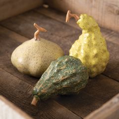 Assorted Decorative Autumn Gourds Set of 3