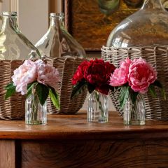 Assorted Peonies In Clear Vase Set of 3