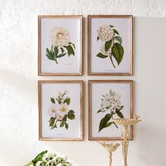 Assorted White Floral Framed Wall Art Set of 4