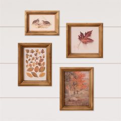 Autumn Bliss 4 Piece Framed Print Collection
