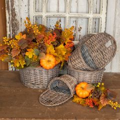 Autumn Botanical Pumpkin Pick Set of 3