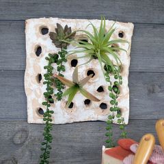 Square Clay Floral Terrarium Wall Art