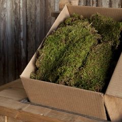 Sheet Moss Box 1.75 Cubic Feet