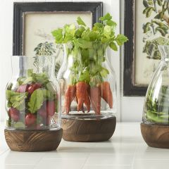 Wood Base Glass Vase Set of 3