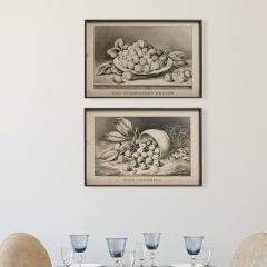 Vintage Reproduction Framed Fruit Print Set of 2