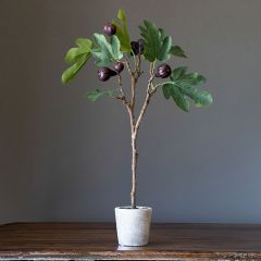 Mission Fig Faux Topiary