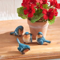 Beautiful Blue Bird Figurine Set of 4