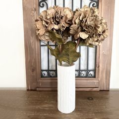 Beautiful Two-Toned Fall Hydrangea