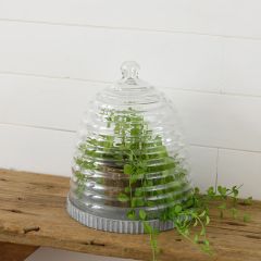 Beehive Cloche Display