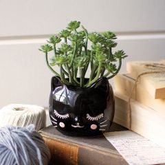 Black Cat Head Planter