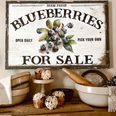 Blueberries For Sale Canvas Wall Art