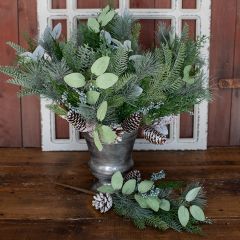 Blueberries Pine and Cedar Pick