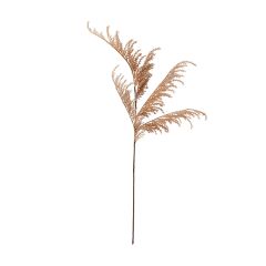 Blush Pampas Grass Plume Set of 4