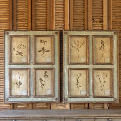 Botanical Print Framed Wall Collage Set of 2