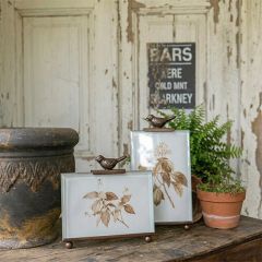 Botanical Print In Bird Frame Set of 2