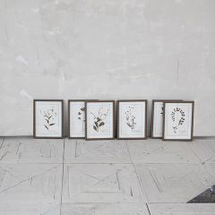 Botanical Print In Hobnail Frame Set of 6