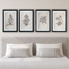 Botanical Stems Framed Wall Art, Set of 4