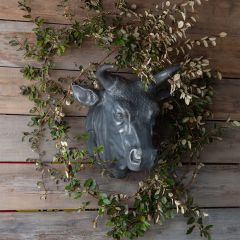Bovine Head Wall Mount