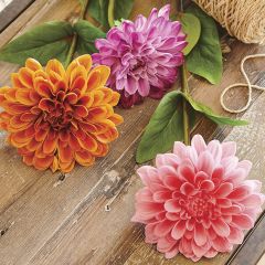 Bright Dahlia Stem Set of 3