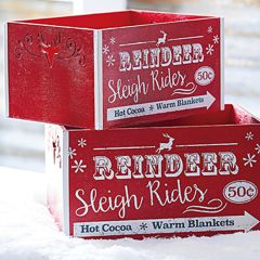 Bright Winter Holiday Crate Set of 2							
