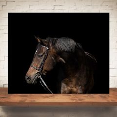 Brown Horse Print Wall Art