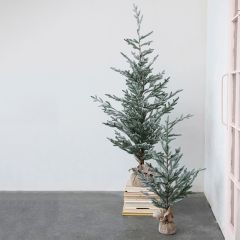 Burlap Wrapped Snowy Pine Tree