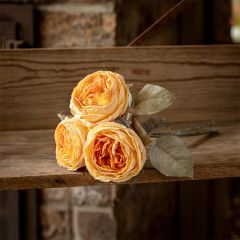 Butter Cream English Rose Bouquet Set of 2