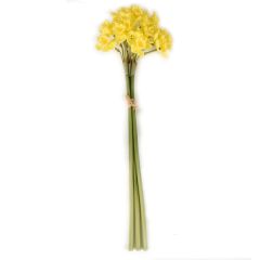 Buttercup Narcissus Floral Bunch