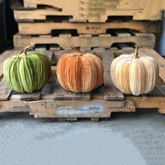 Velvet Pumpkin Collection Set of 3