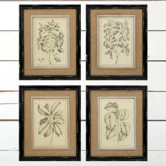Victoriana Wall Art Set of 4