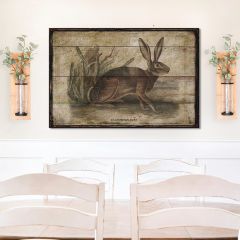Californian Hare Canvas Wall Art