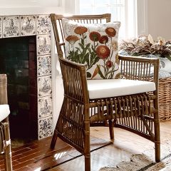 Cane and Rattan Chair