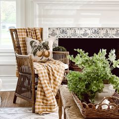 Cane and Rattan Chair
