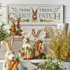 Carrot Patch Hanging Wall Art
