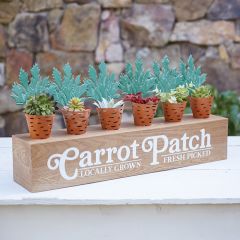 Carrot Patch Planters With Wood Display Box