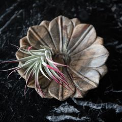 Carved Marble Flower Serving Dish