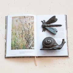 Cast Iron Snail and Dragonfly Accent Decor