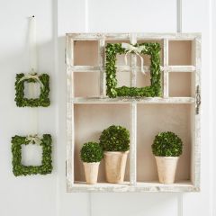 Preserved Boxwood Wreath With Ribbon Set of 3