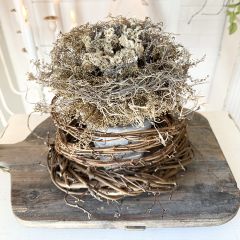 Cement Pot With Lavender