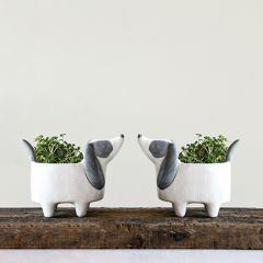 Ceramic Dog Planter