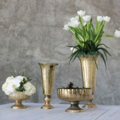 Champagne Gold Footed Vessel Collection