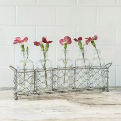 Chicken Wire Basket With 5 Glass Bottles