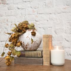 Chippy White Paint Planter Pot