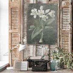 Christopher Lily Canvas Flat Print