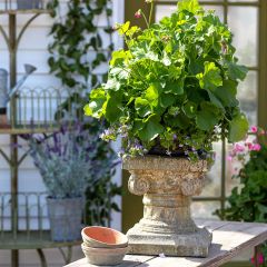 Classic Column Garden Pedestal